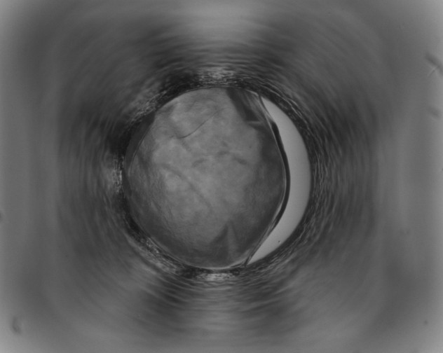 X0000095110324200801041206