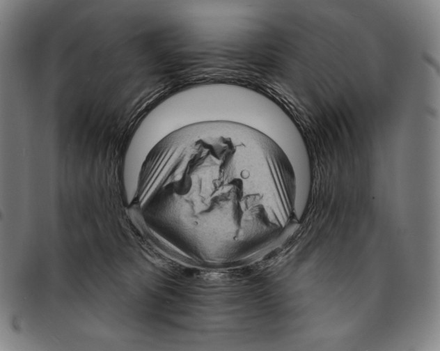 X0000095110325200801041206