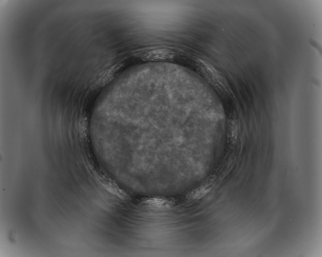 X0000095110326200801041206