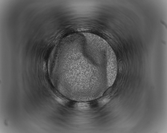 X0000095110327200801041206