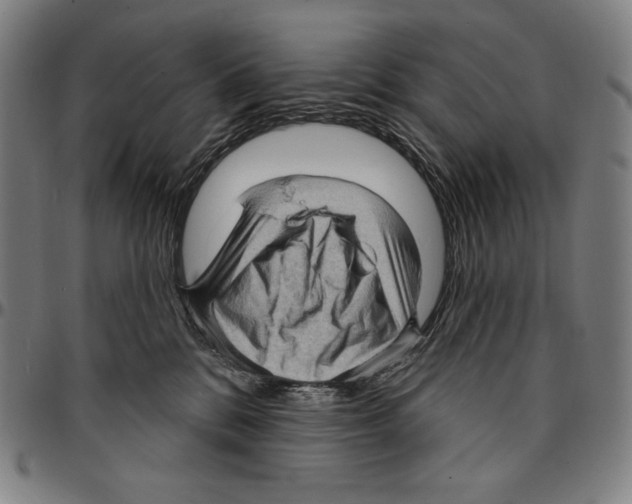 X0000095110328200801041206