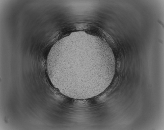 X0000095110329200801041206