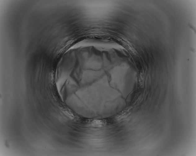 X0000095110330200801041206