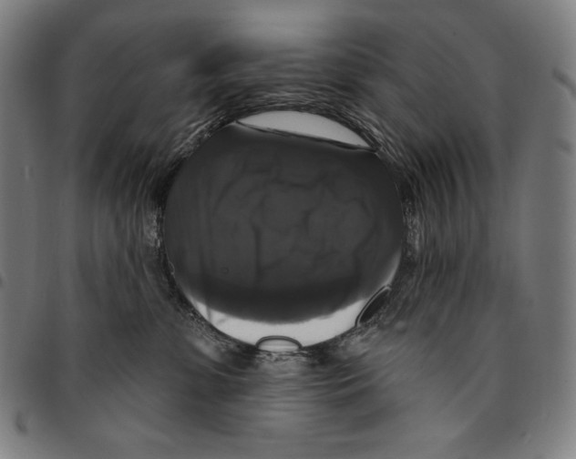 X0000095110331200801041206
