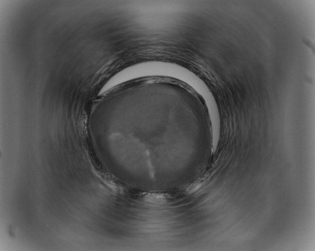 X0000095110332200801041206
