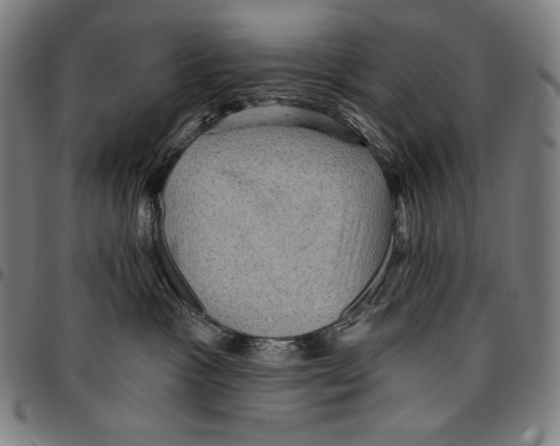X0000095110333200801041206