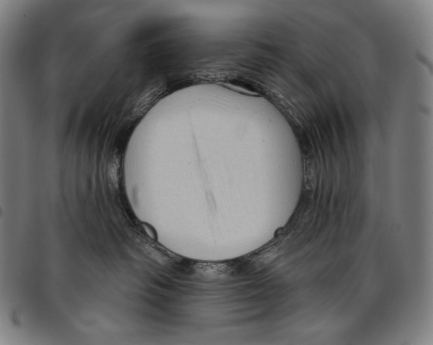 X0000095110334200801041206