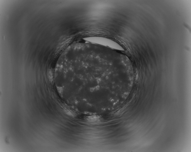 X0000095110335200801041206