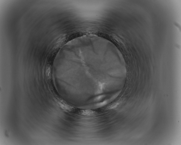X0000095110336200801041206