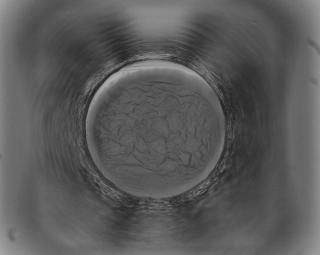 X0000095110337200801041205