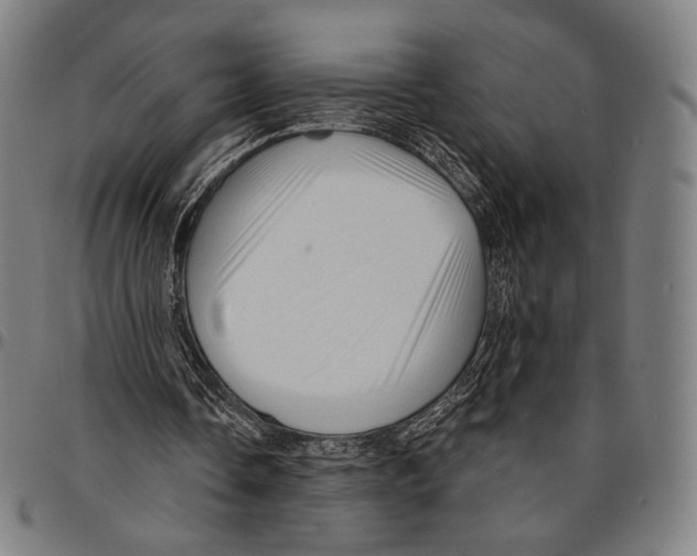 X0000095110338200801041205