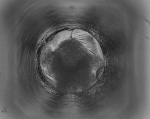 X0000095110339200801041205