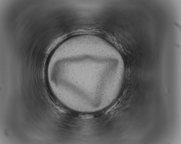 X0000095110340200801041205