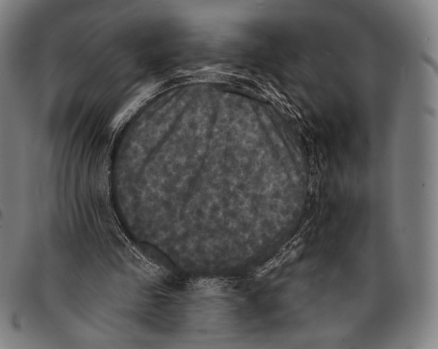 X0000095110341200801041205