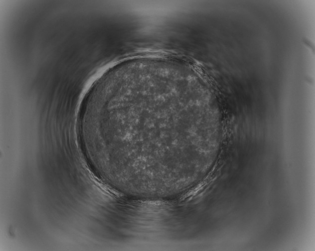 X0000095110342200801041205