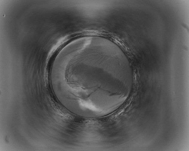 X0000095110343200801041205