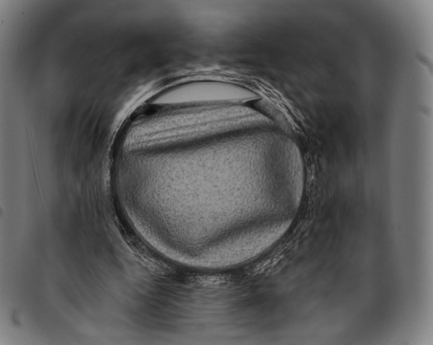 X0000095110344200801041205
