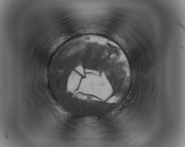 X0000095110345200801041205