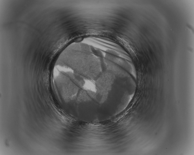 X0000095110346200801041205