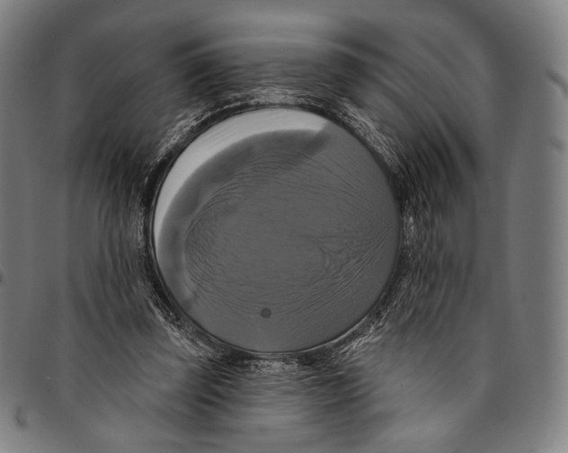 X0000095110347200801041205