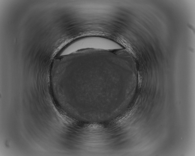 X0000095110348200801041205