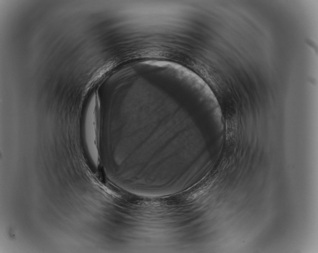X0000095110349200801041205