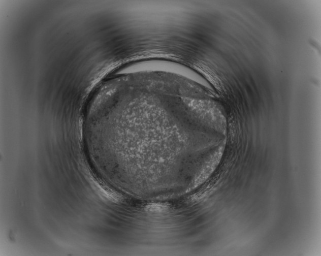 X0000095110350200801041205