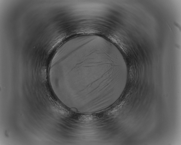 X0000095110351200801041205