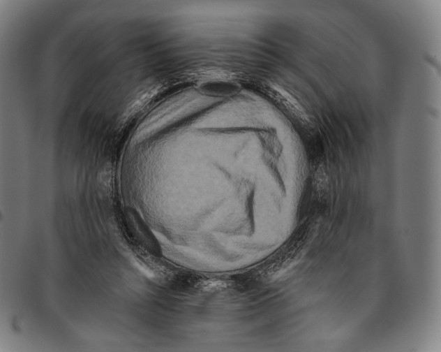 X0000095110352200801041205