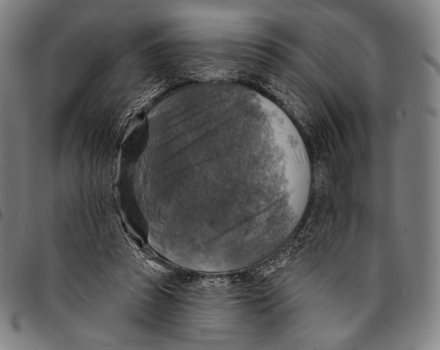 X0000095110353200801041205