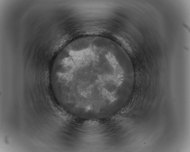 X0000095110354200801041205