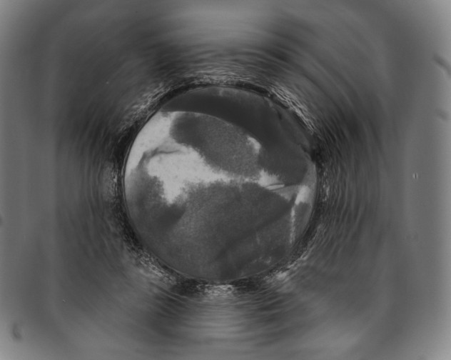 X0000095110355200801041205