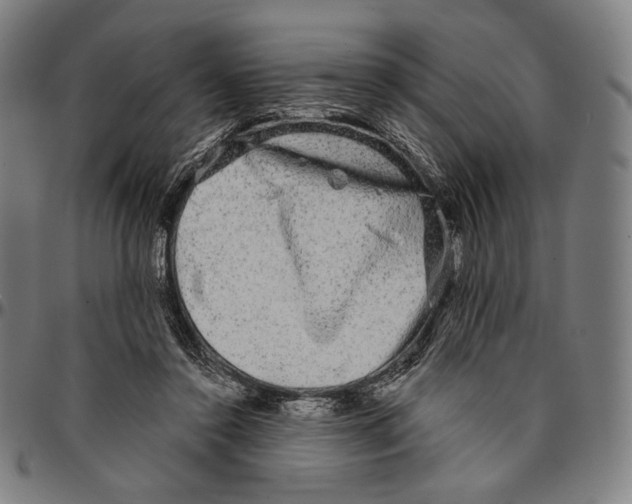 X0000095110356200801041205