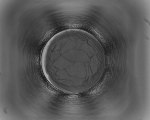 X0000095110357200801041205