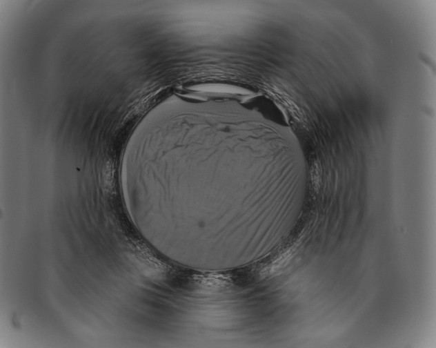 X0000095110359200801041205