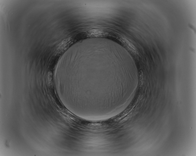 X0000095110361200801041205