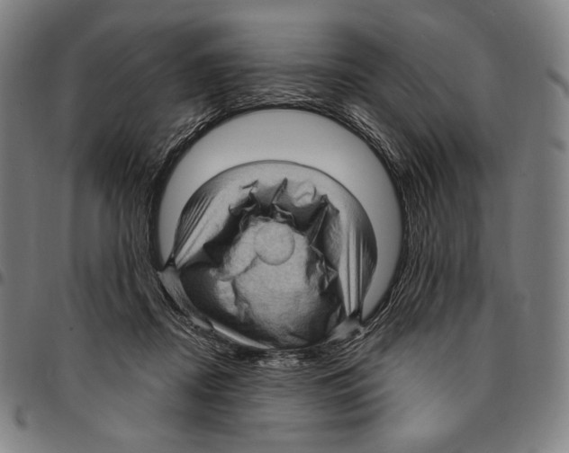 X0000095110362200801041205