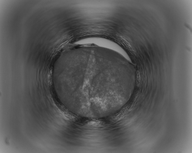 X0000095110364200801041205