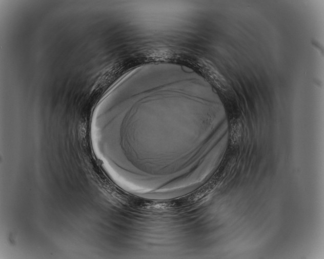 X0000095110365200801041205