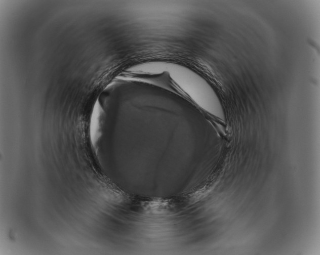 X0000095110366200801041205
