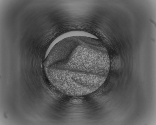 X0000095110368200801041205