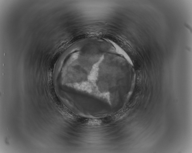 X0000095110369200801041205