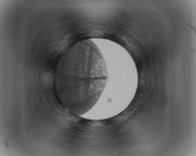 X0000095110370200801041205