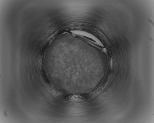 X0000095110372200801041206