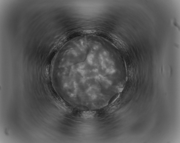 X0000095110373200801041206