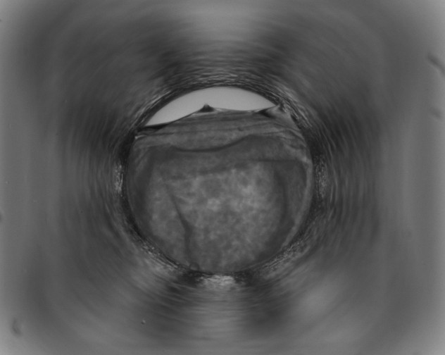 X0000095110374200801041206