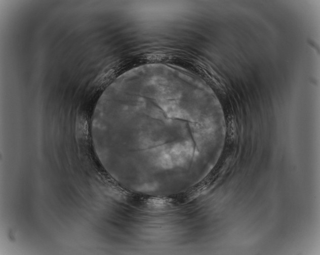 X0000095110375200801041206