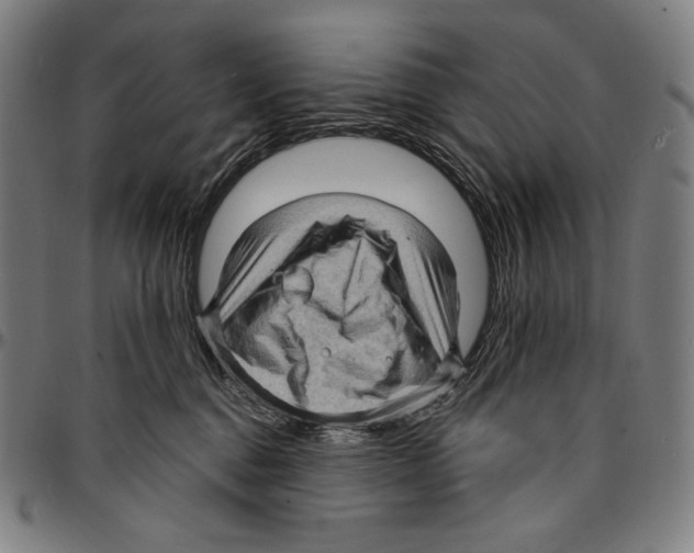 X0000095110376200801041206