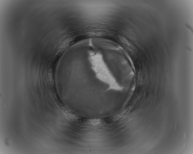 X0000095110377200801041206