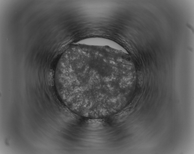 X0000095110378200801041206